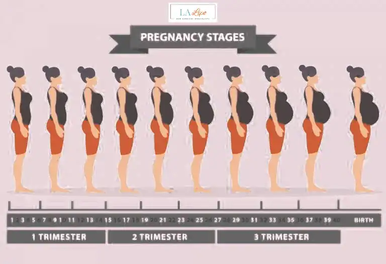 First Trimester (Weeks 1–12): Early Changes You Might Not Notice Northampton